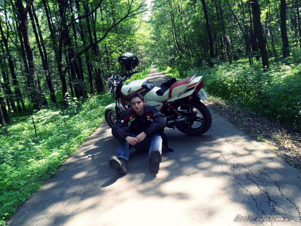 Photo 2512835