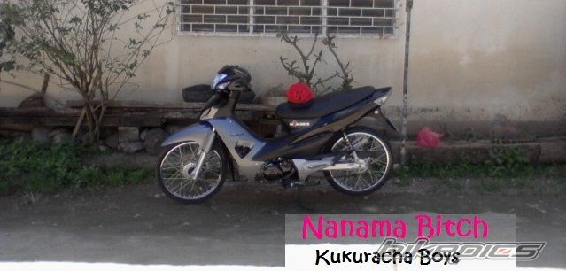 Photo 2513013