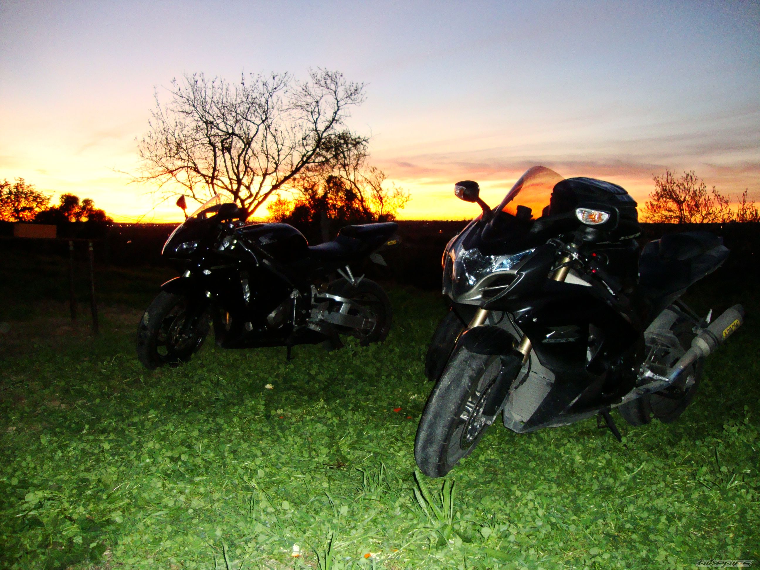 Photo 2513143