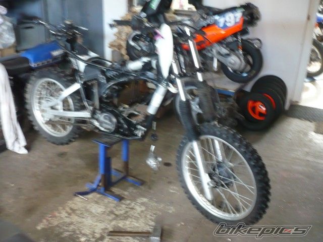 Photo 2513241