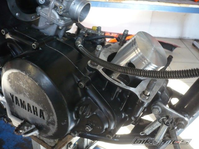 Photo 2513243