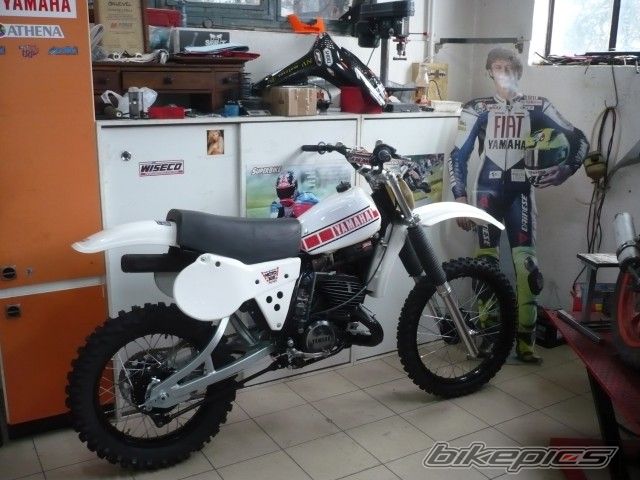 Photo 2513250