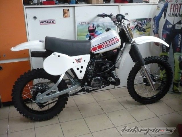 Photo 2513251