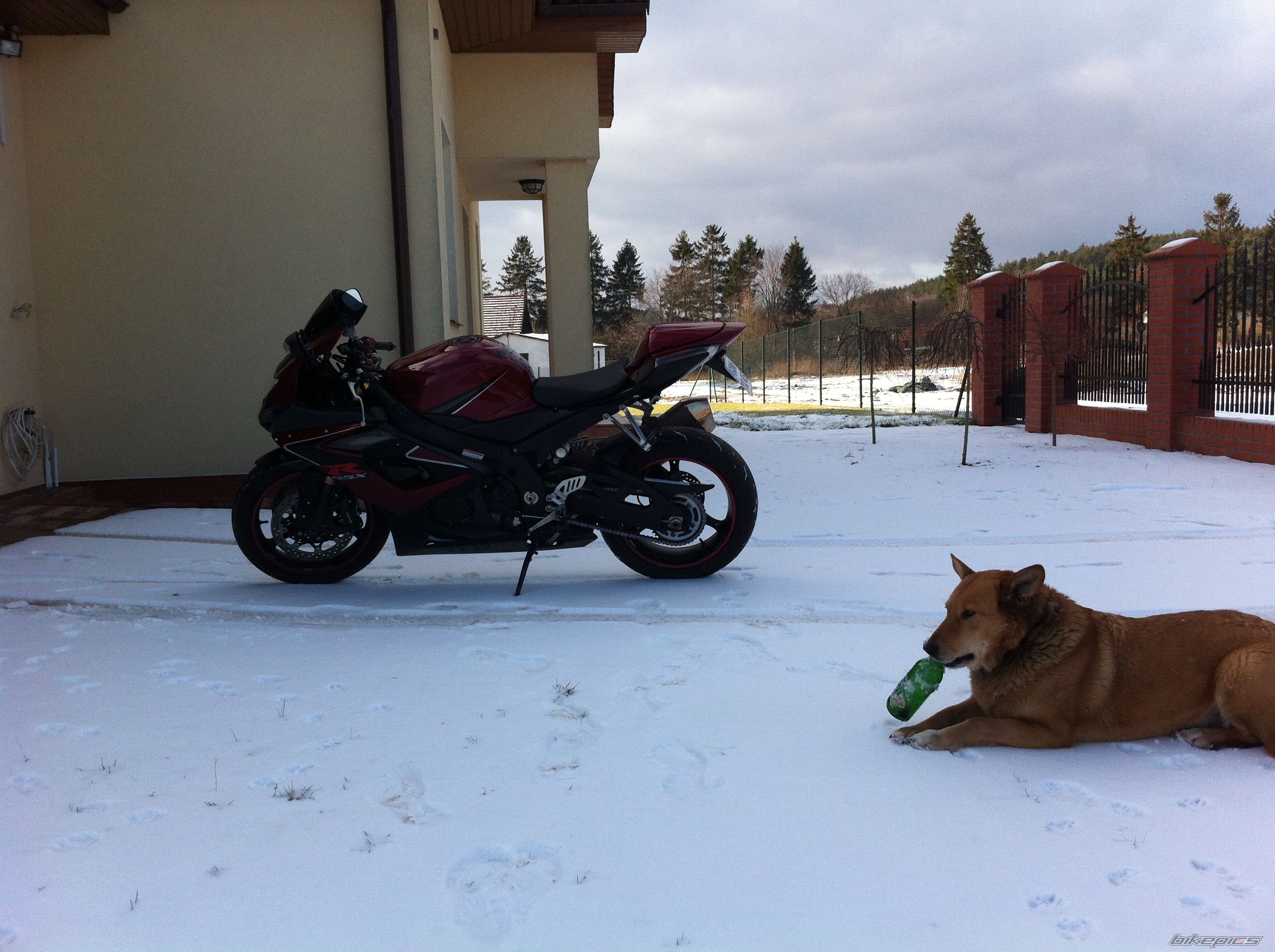Photo 2513325
