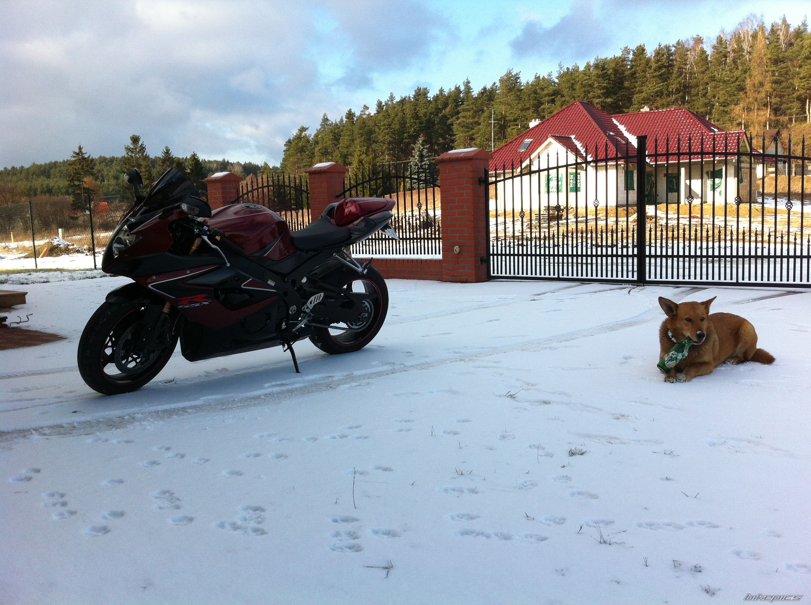 Bike Photo 2513327