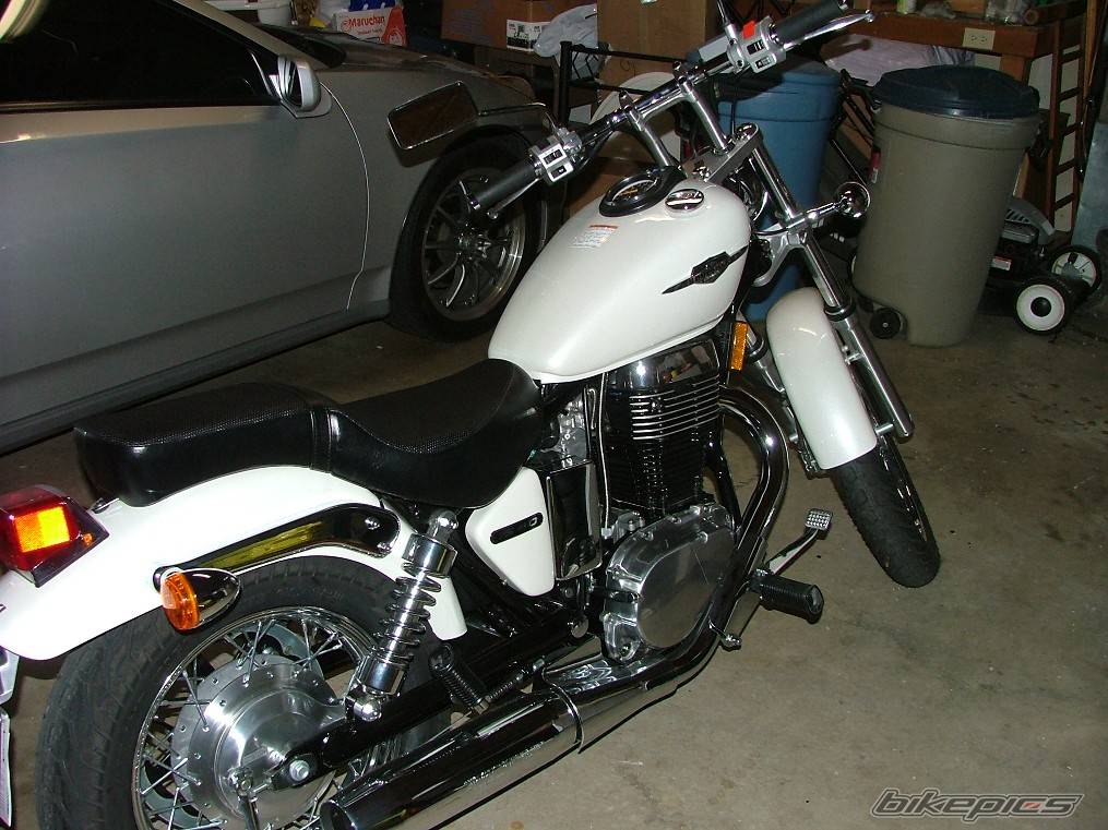 Photo 251333