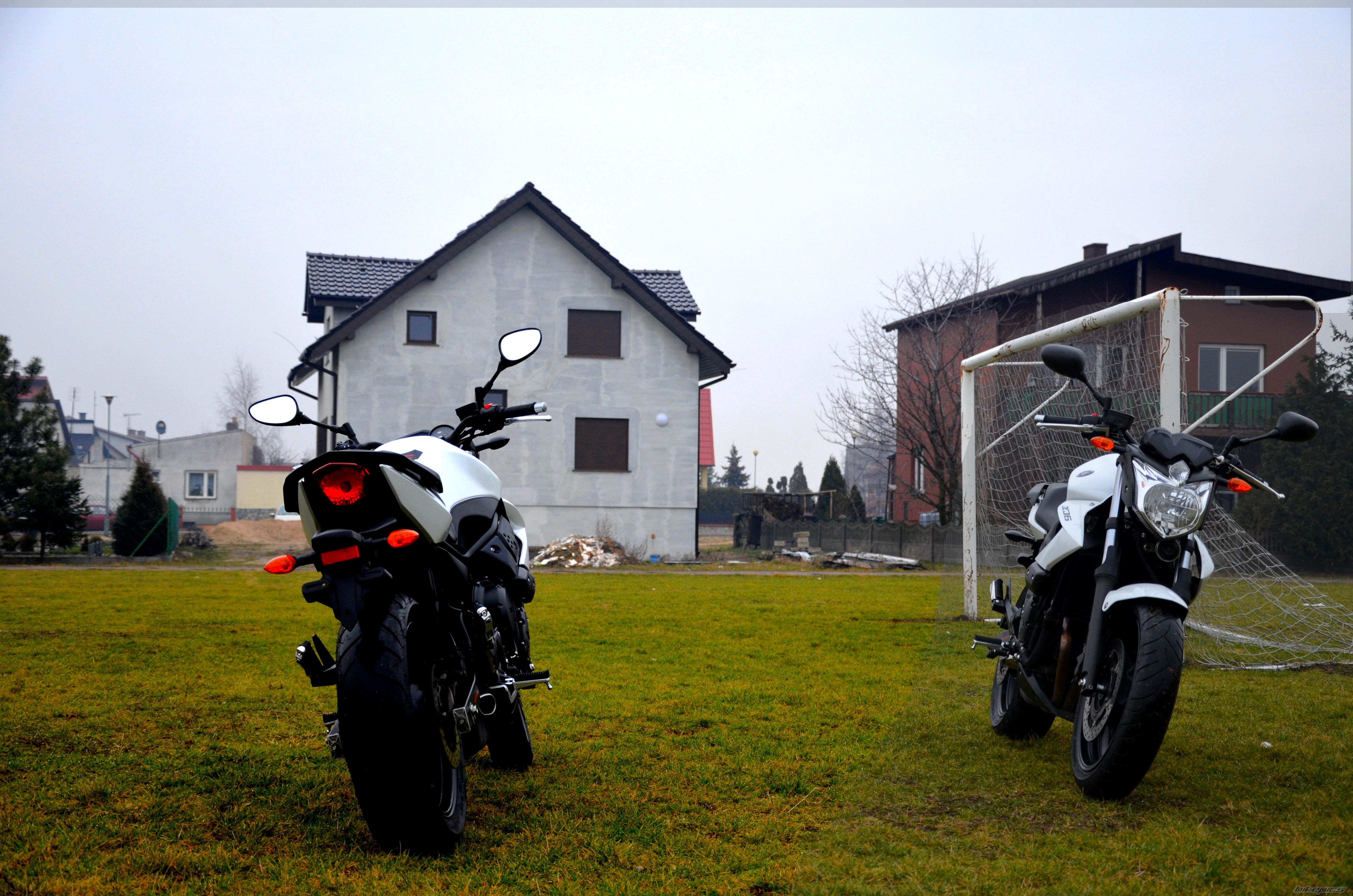 Photo 2513387