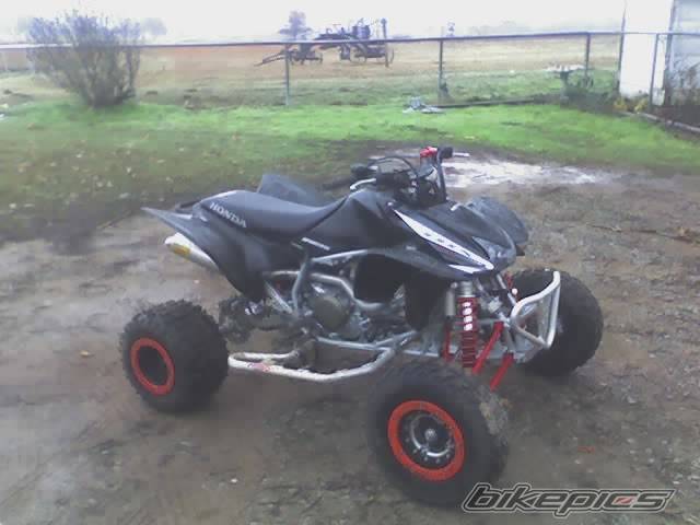 Photo 251343