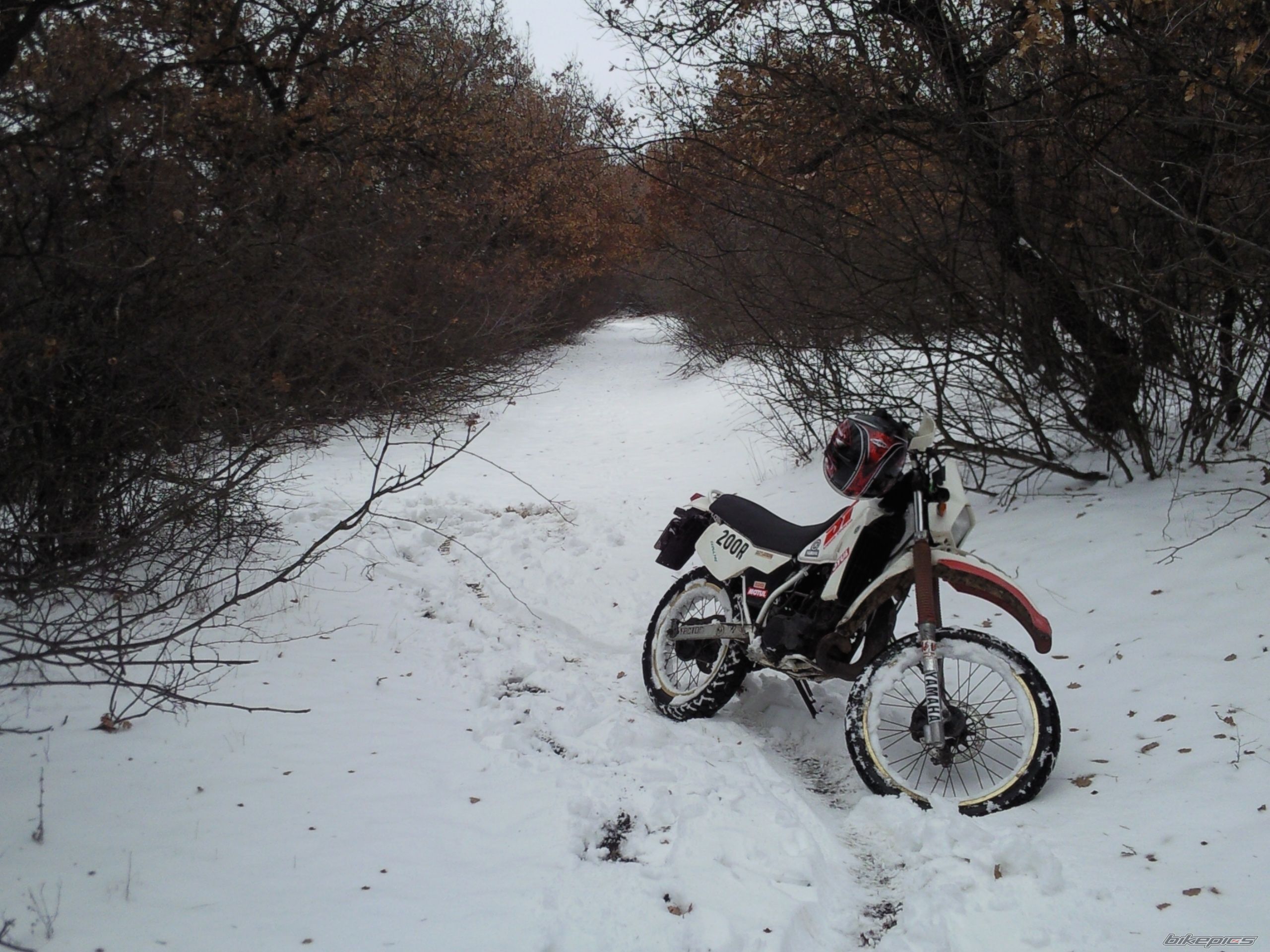 Photo 2513437