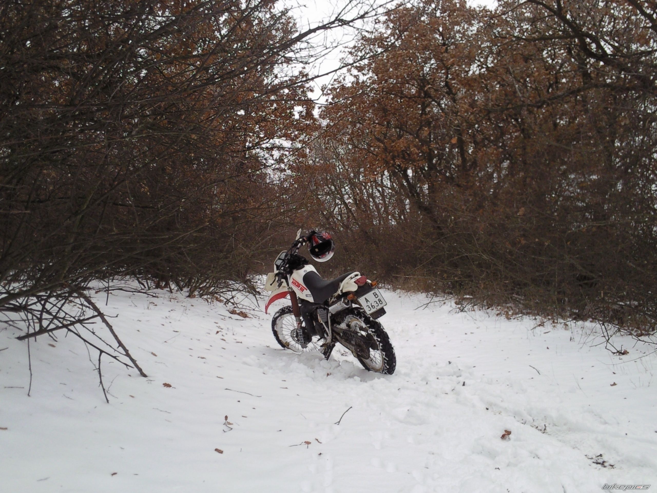 Photo 2513438