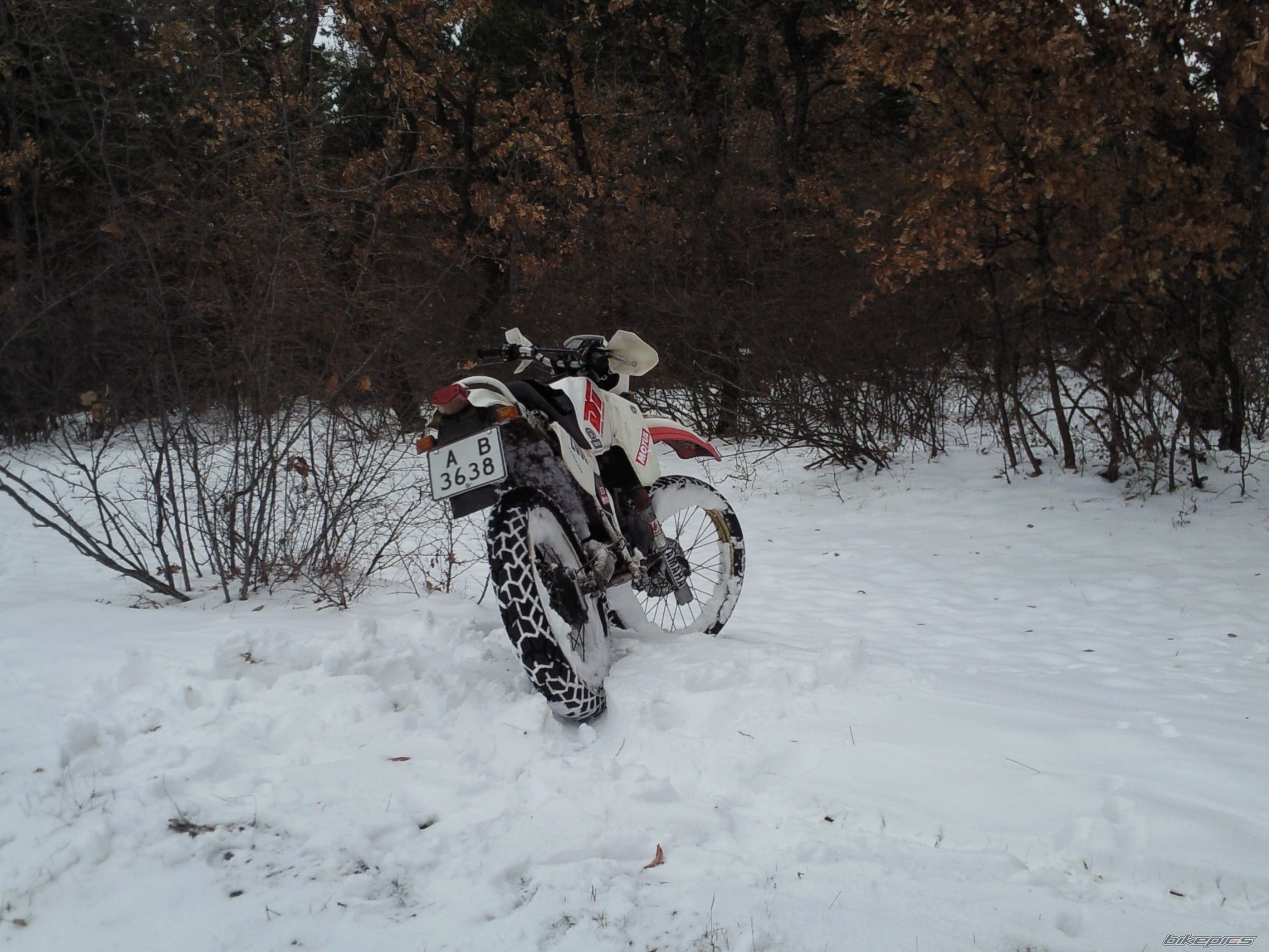 Photo 2513440