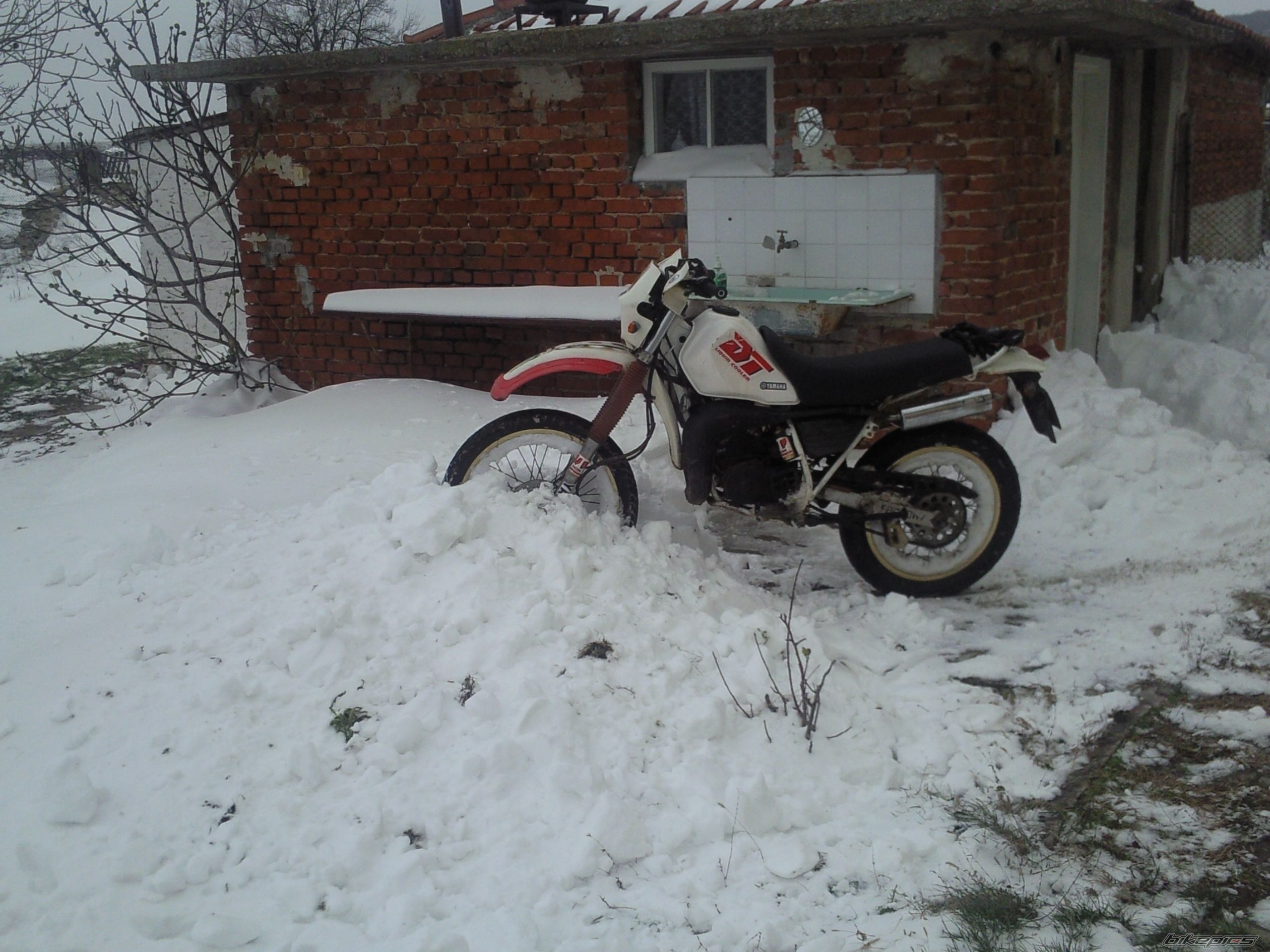 Photo 2513441