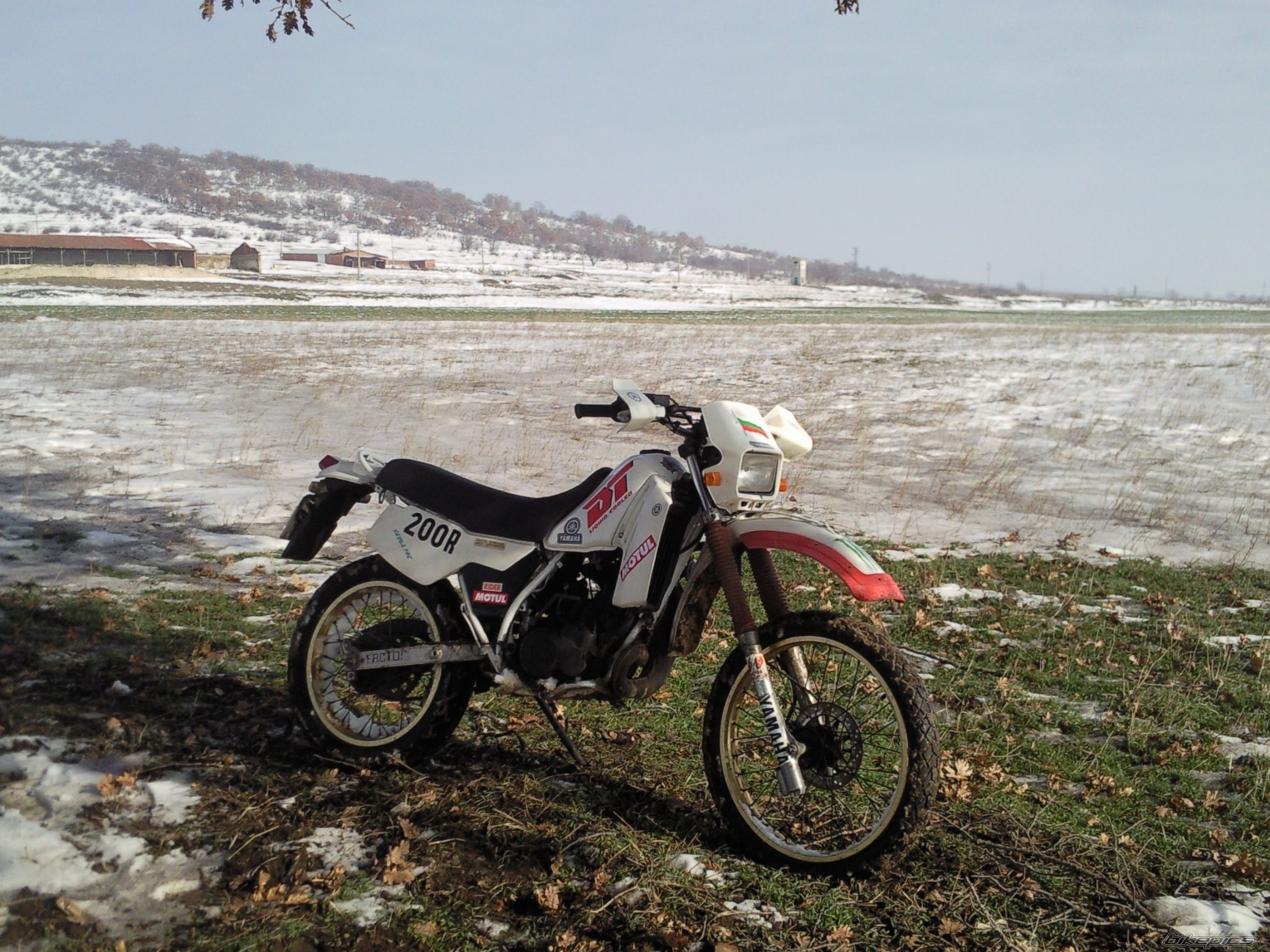 Photo 2513446