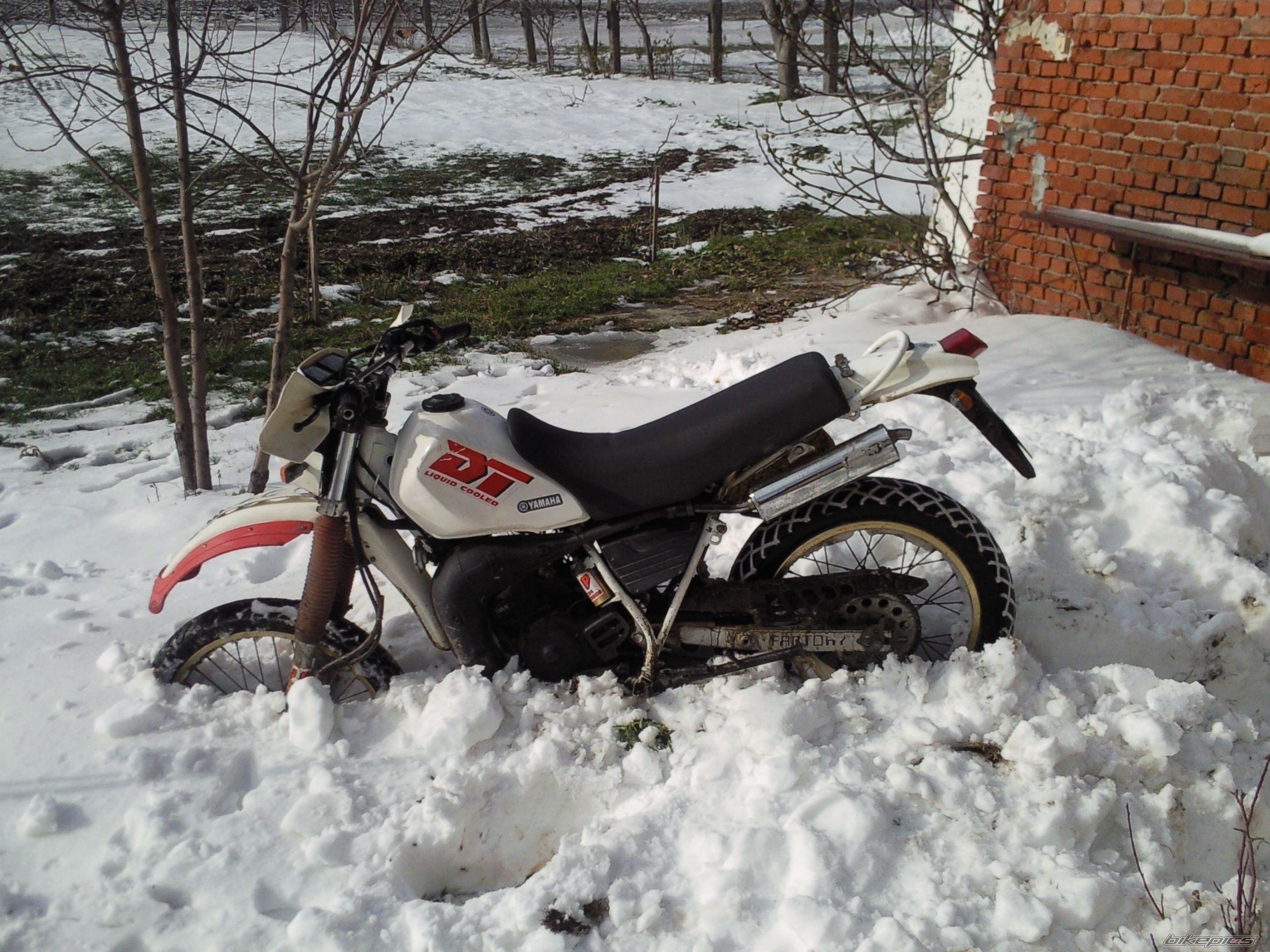 Photo 2513447