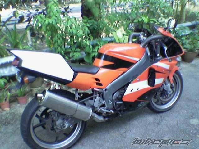 Photo 251360
