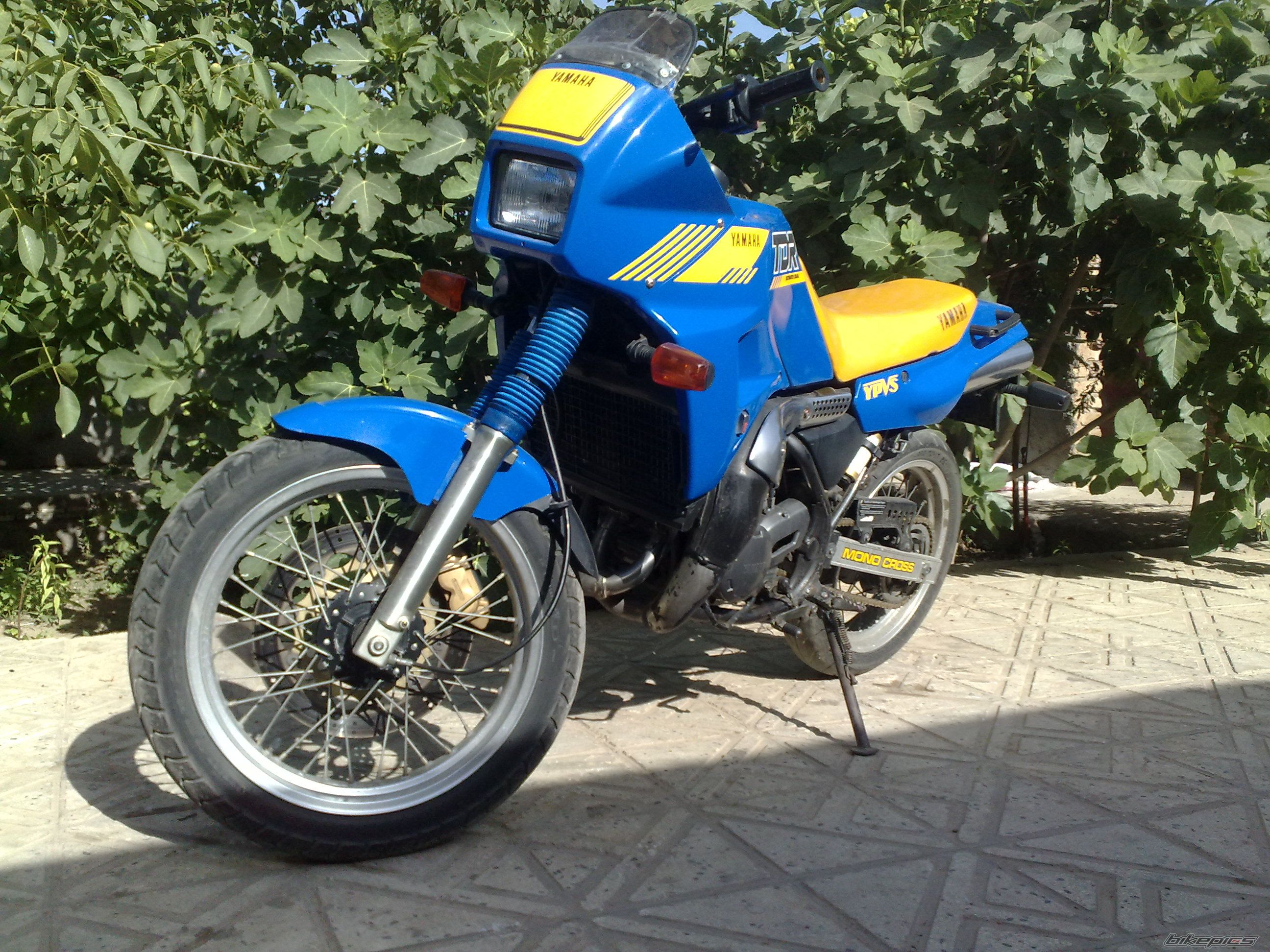Photo 2513602