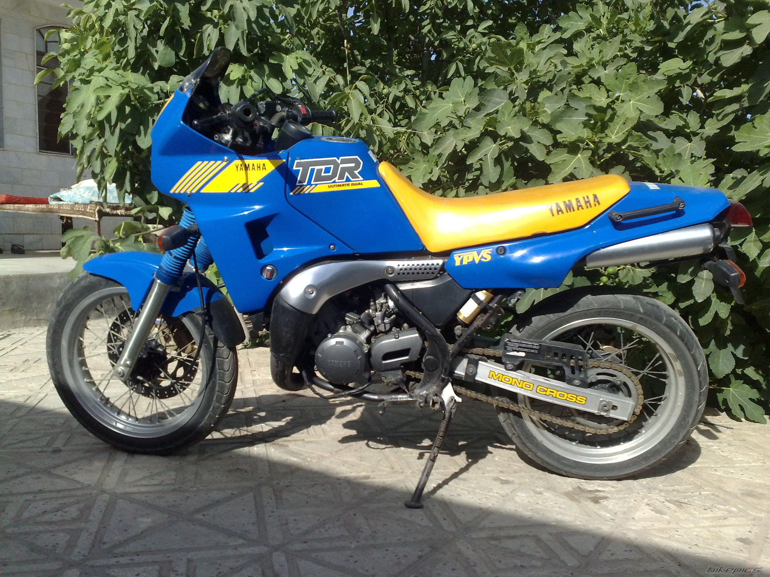 Photo 2513603