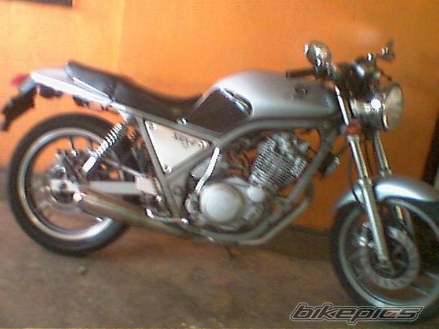 Photo 251362
