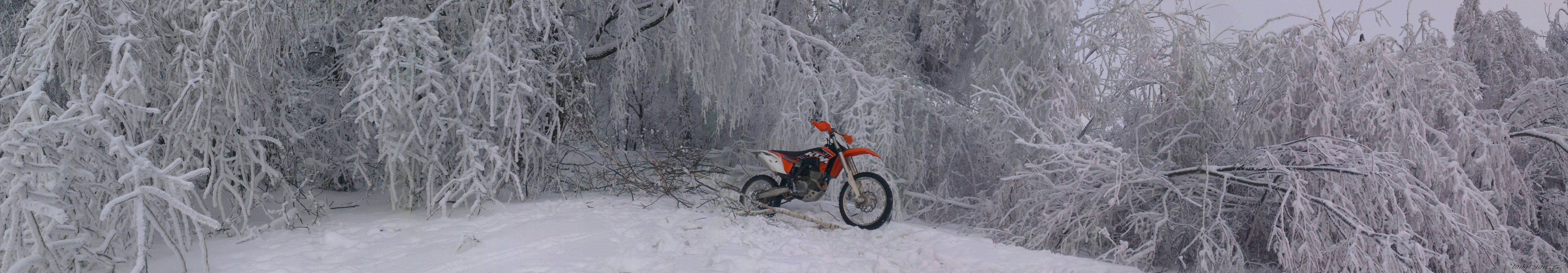 Photo 2513642