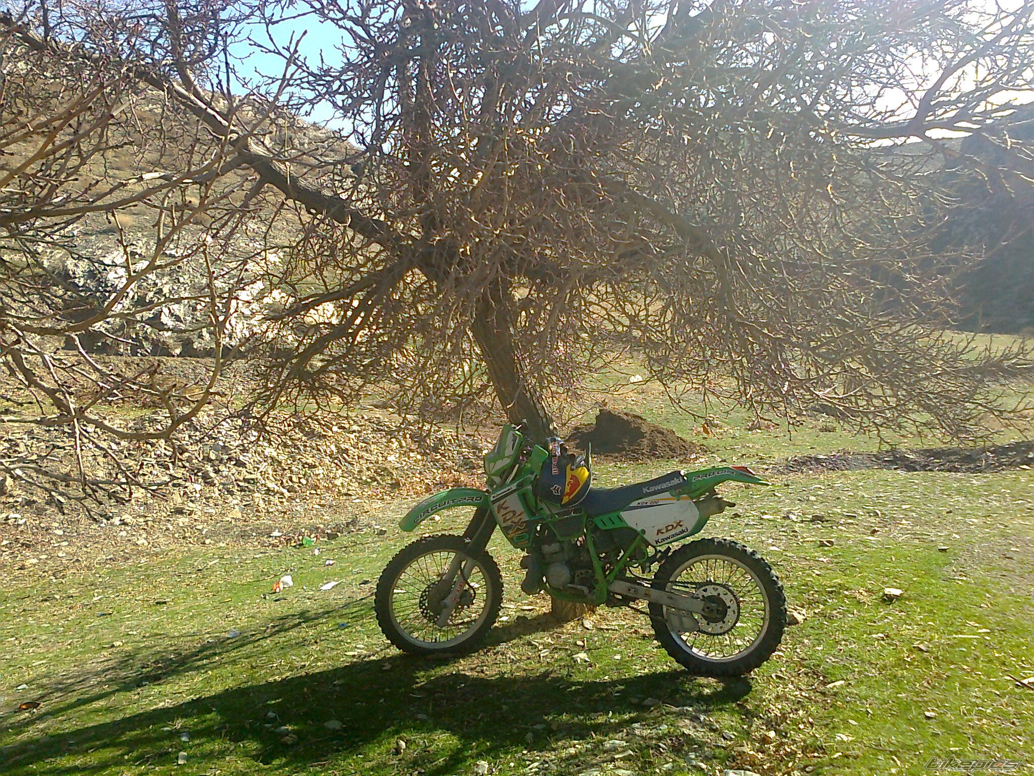 Photo 2513670