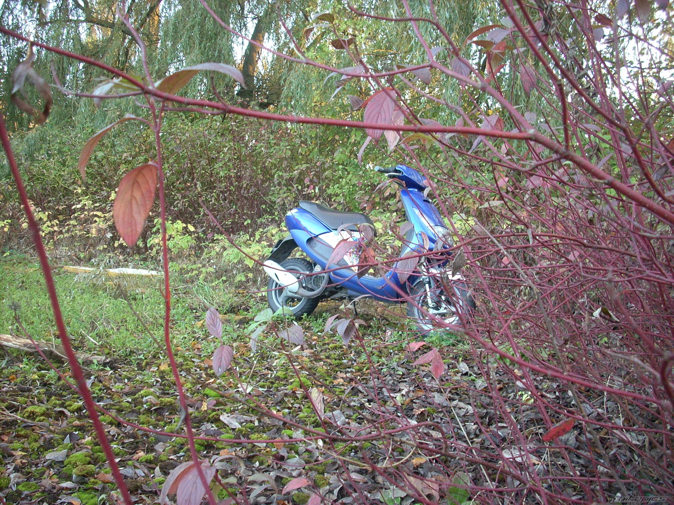 Photo 2513783