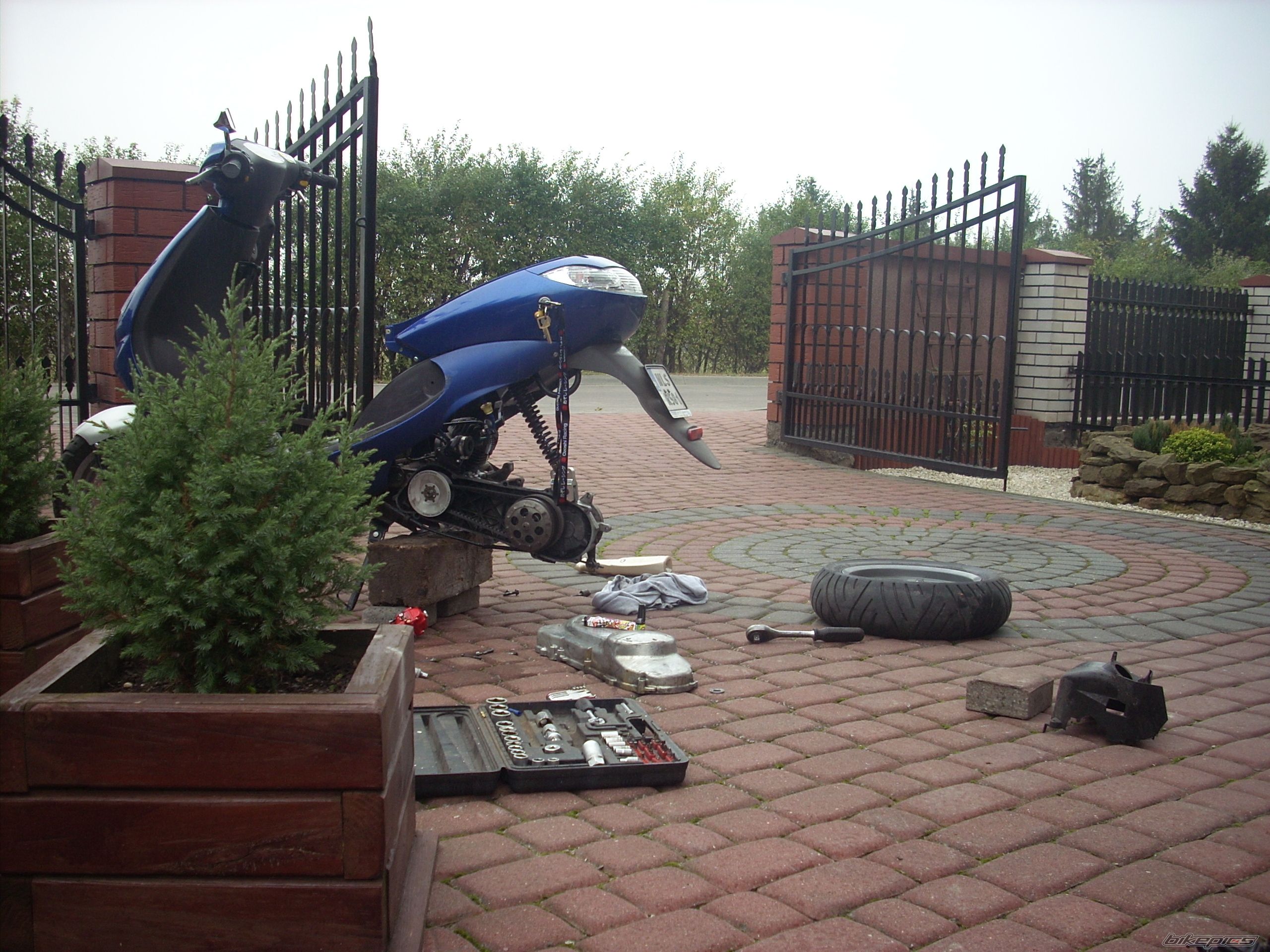 Photo 2513784