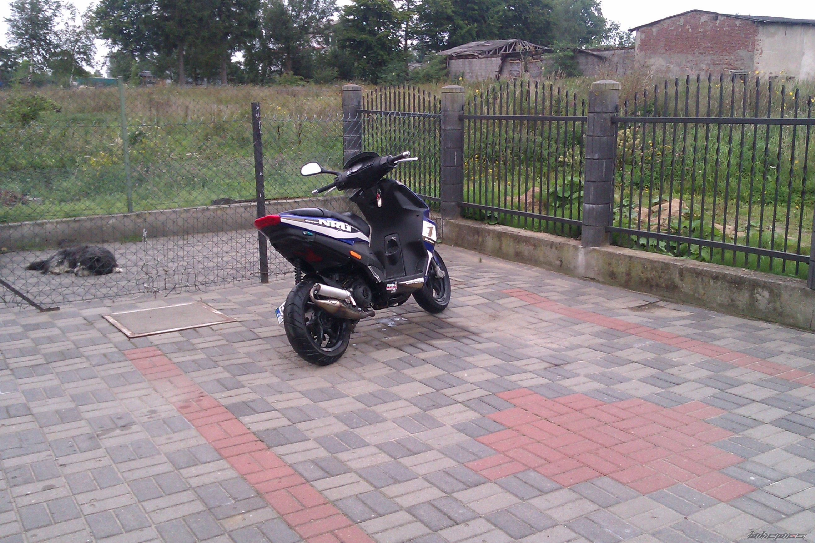 Photo 2513864
