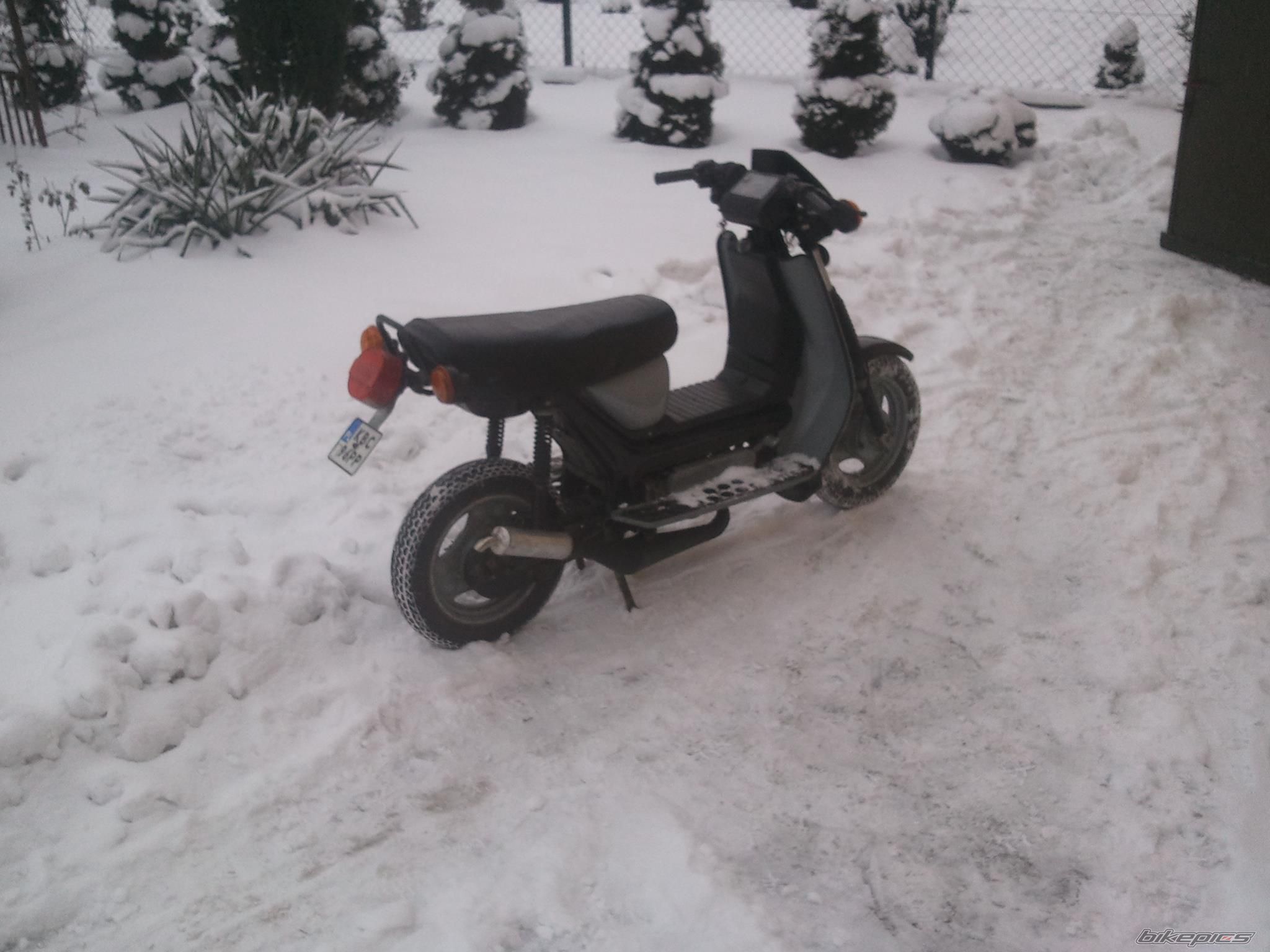 Photo 2513894