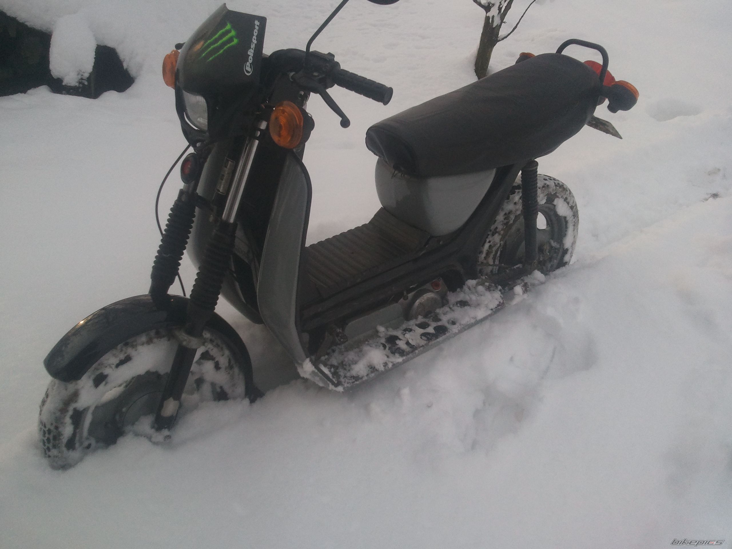 Photo 2513895