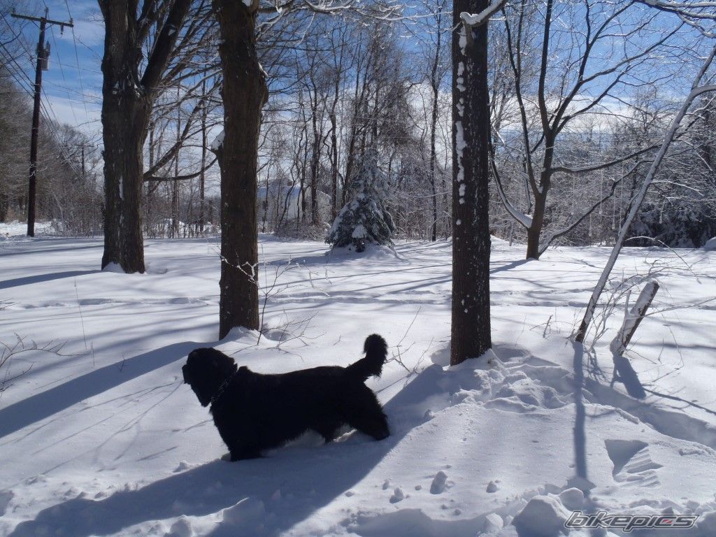Photo 2514097