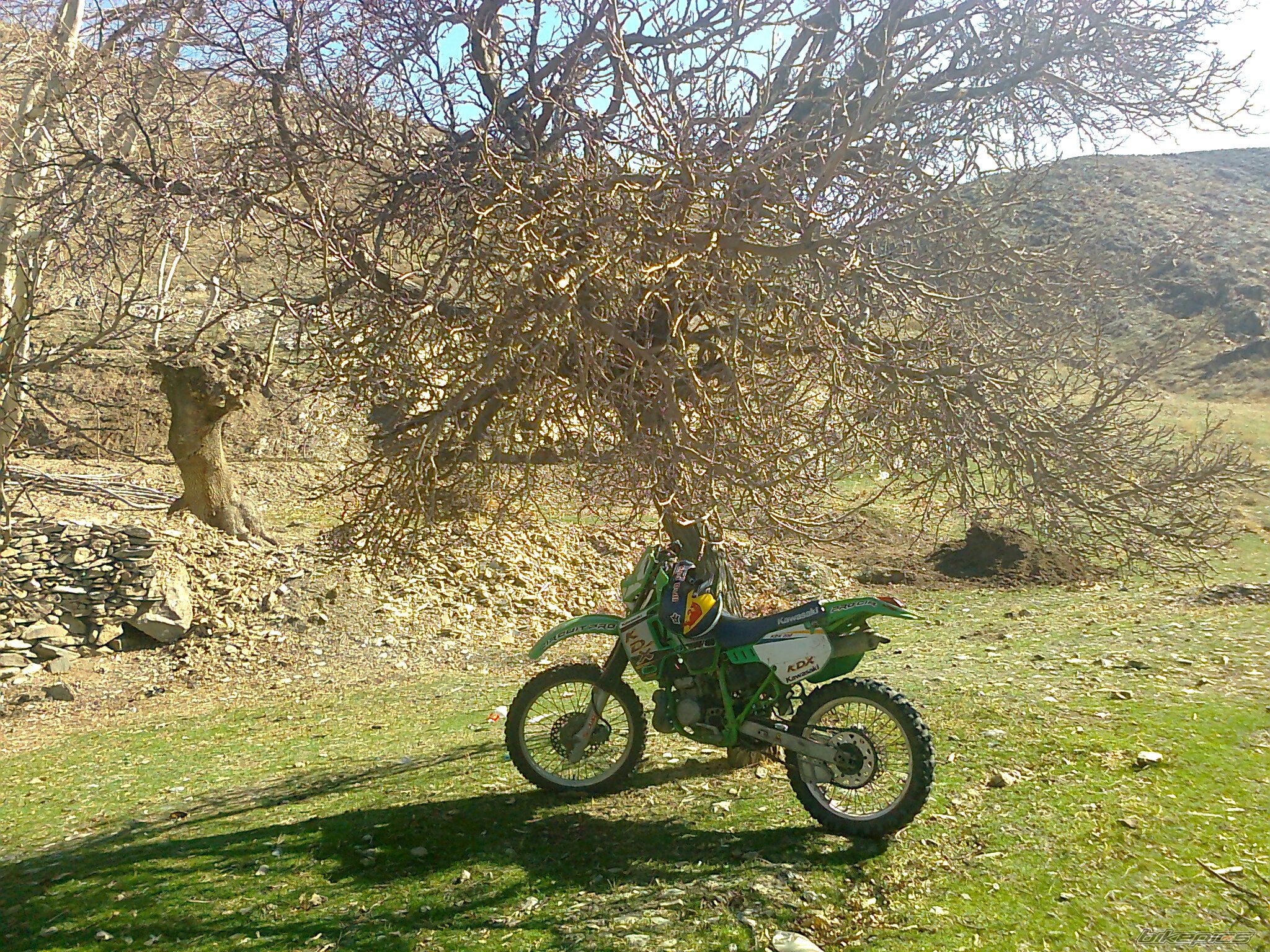Photo 2514163