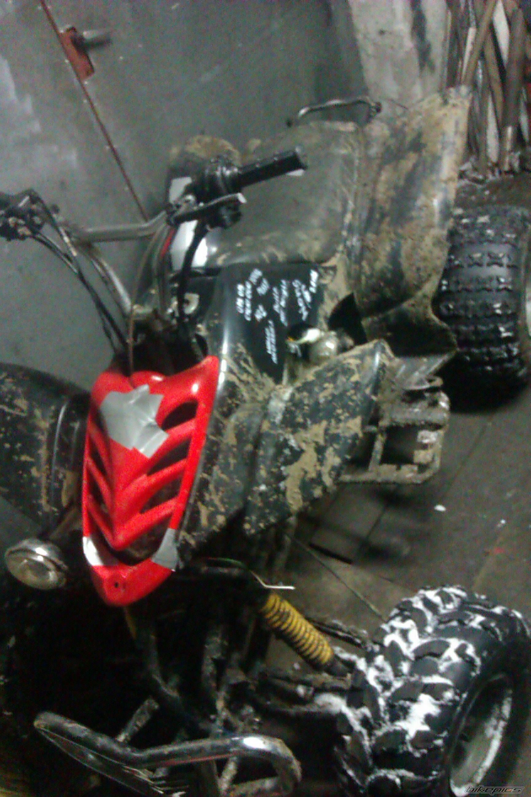 Photo 2514585