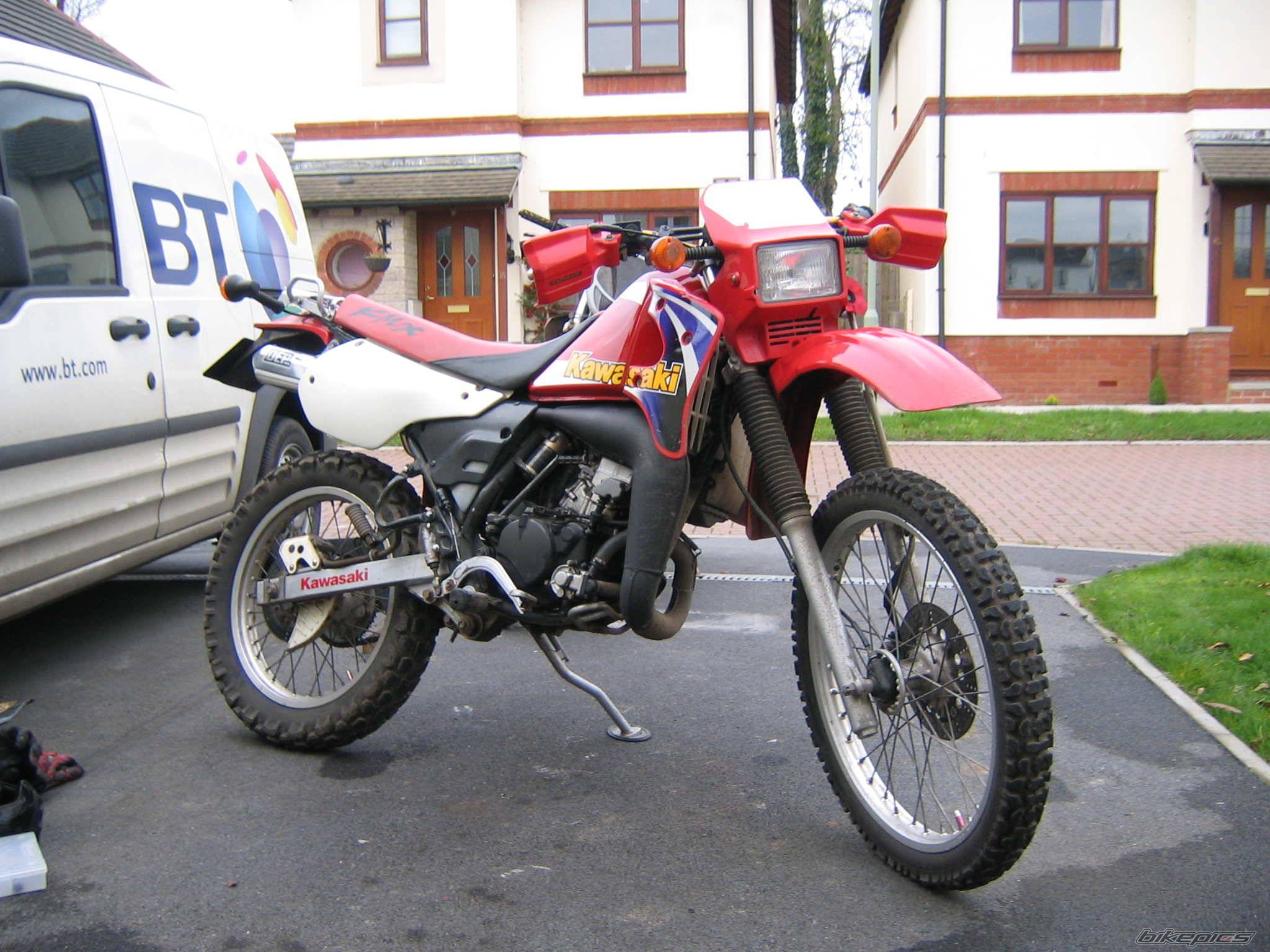 Photo 251495
