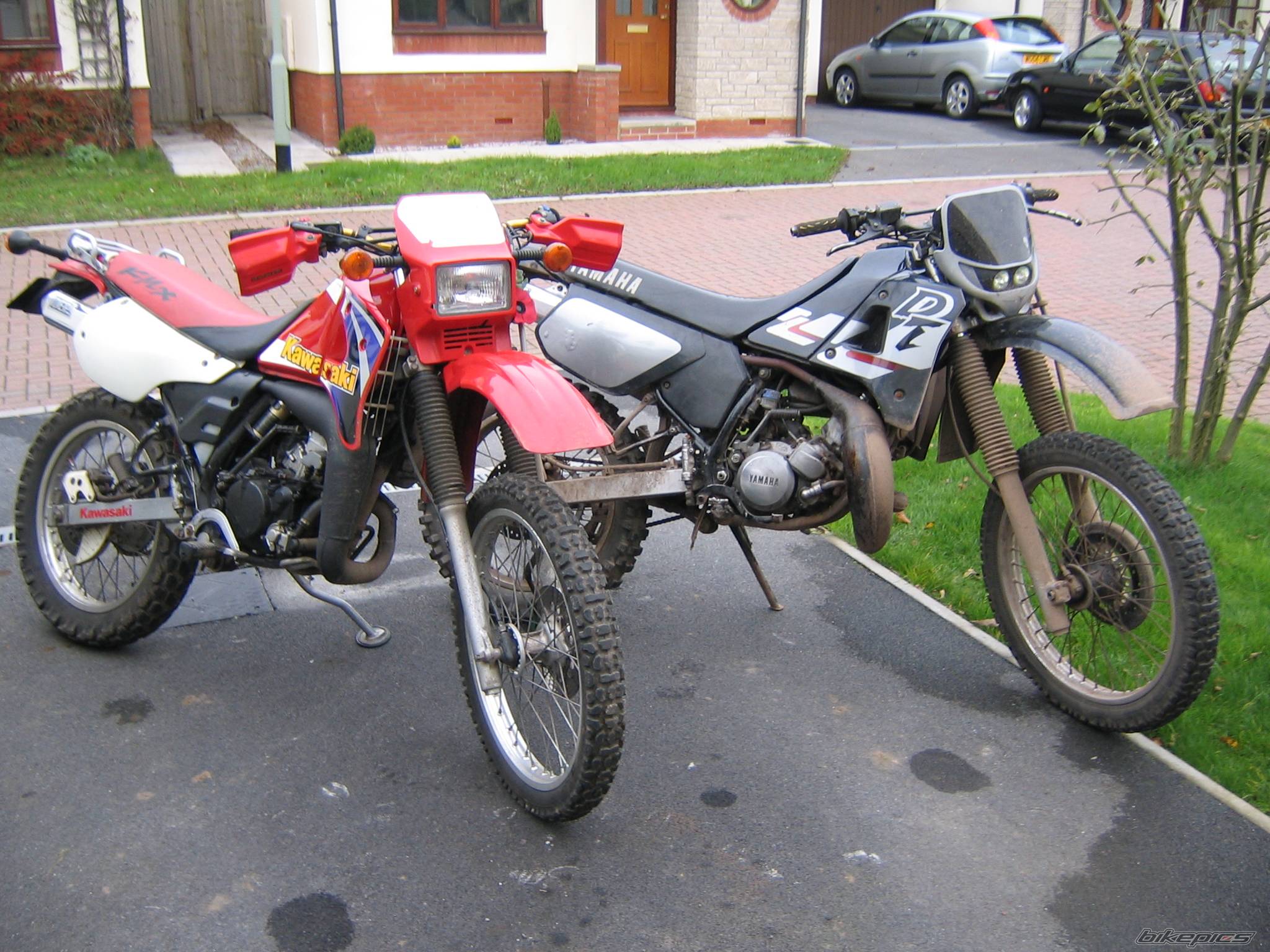 Photo 251499