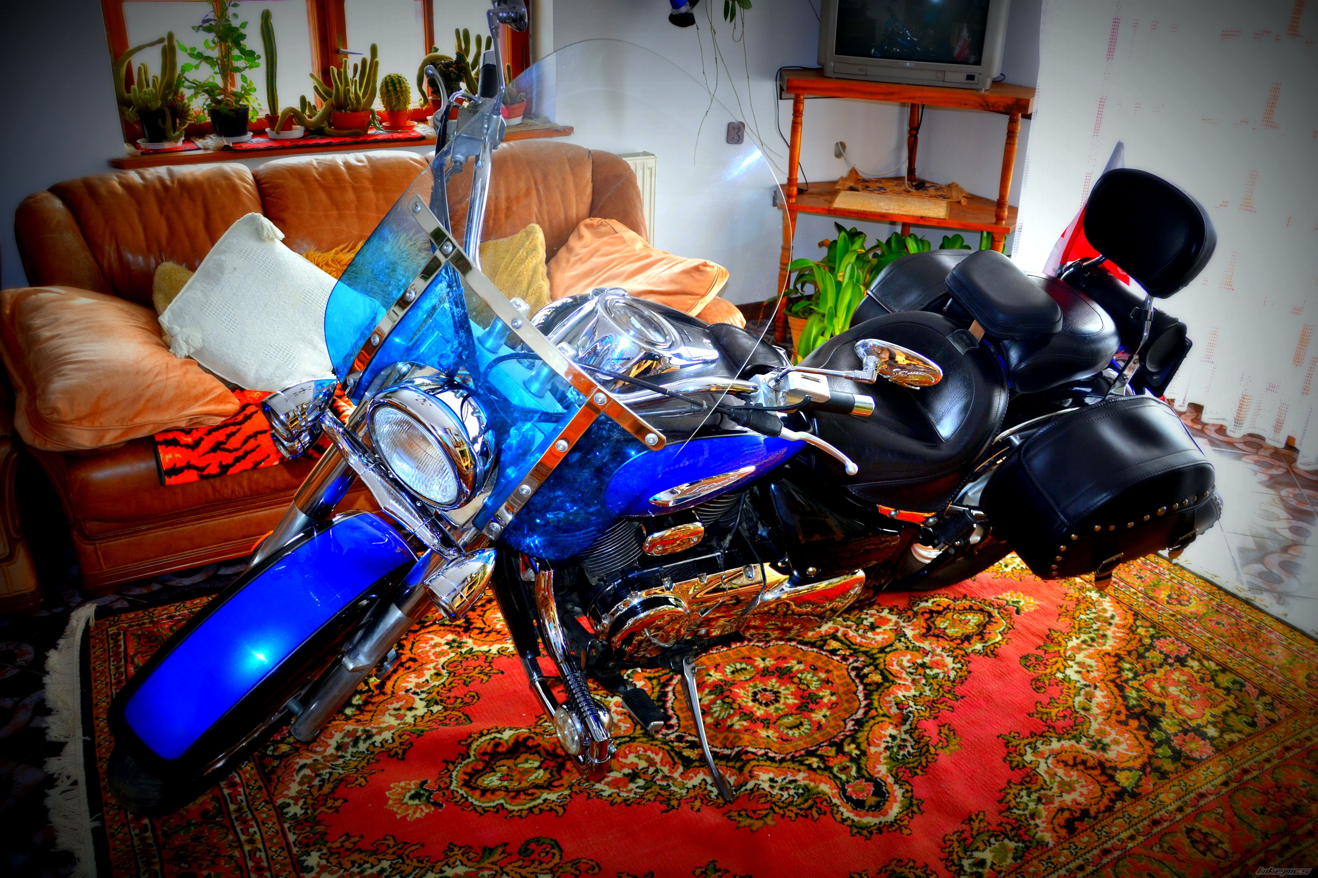 Photo 2515002