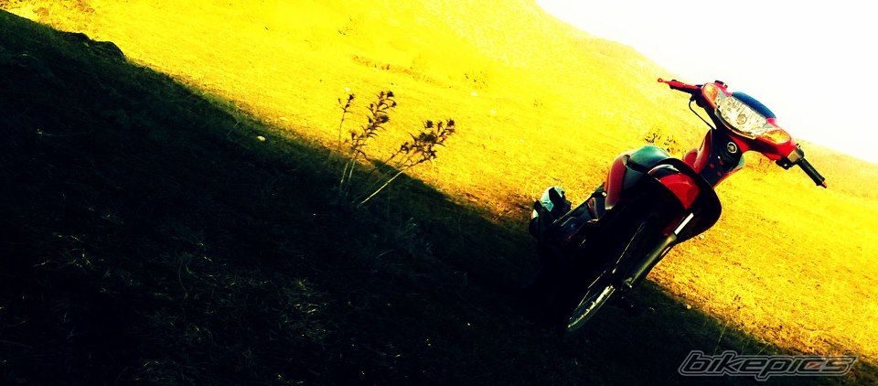 Photo 2515049