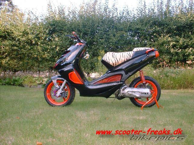 Photo 251515