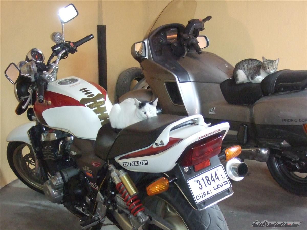 Bike Photo 2515195