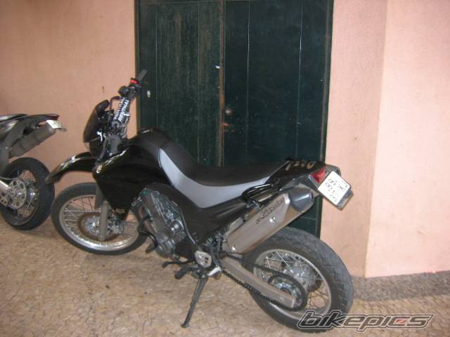 Photo 251528