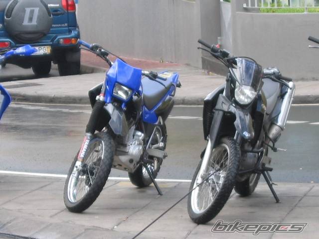 Bike Photo 251529