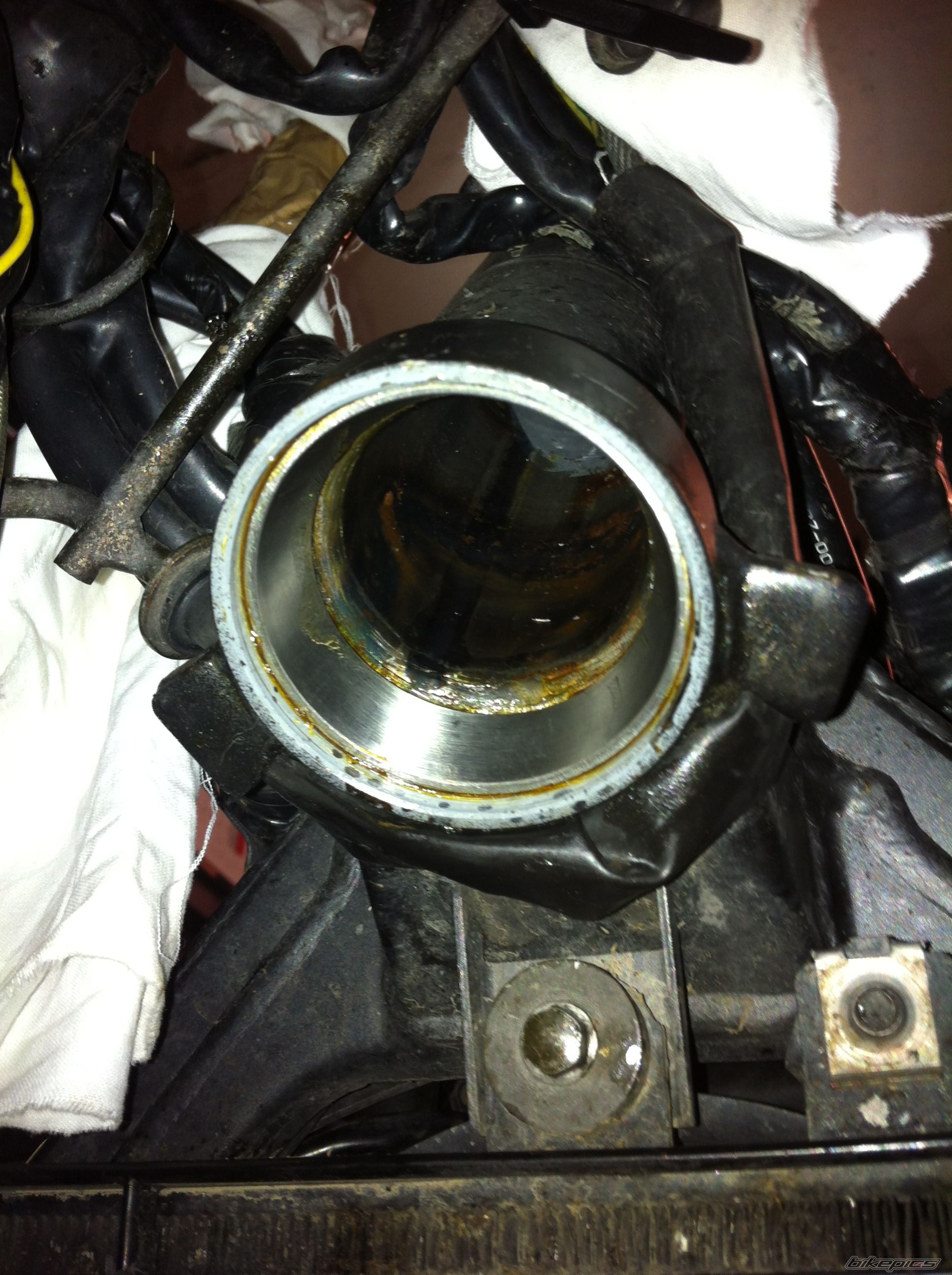 Photo 2515342