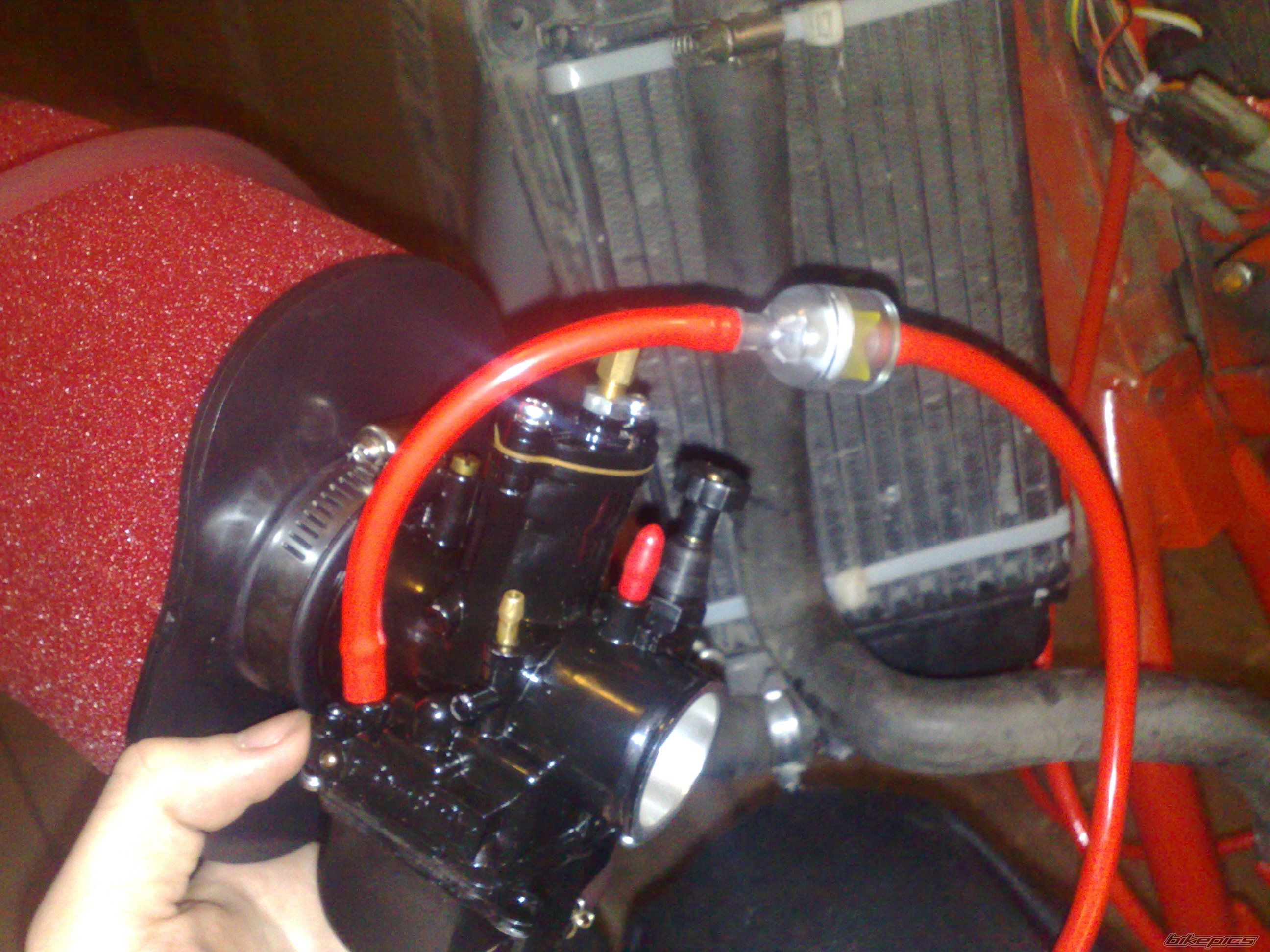 Photo 2515354