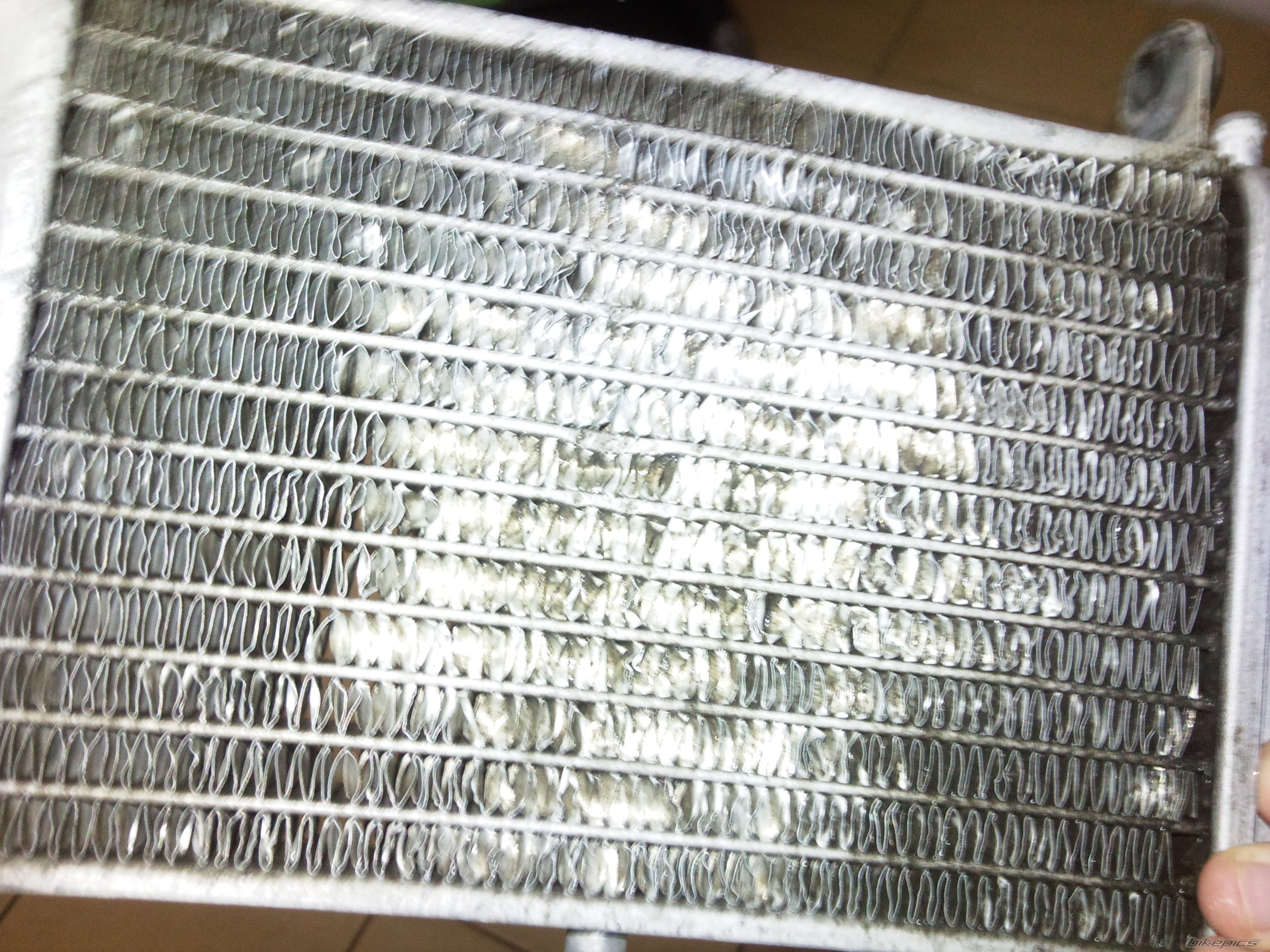 Photo 2515387