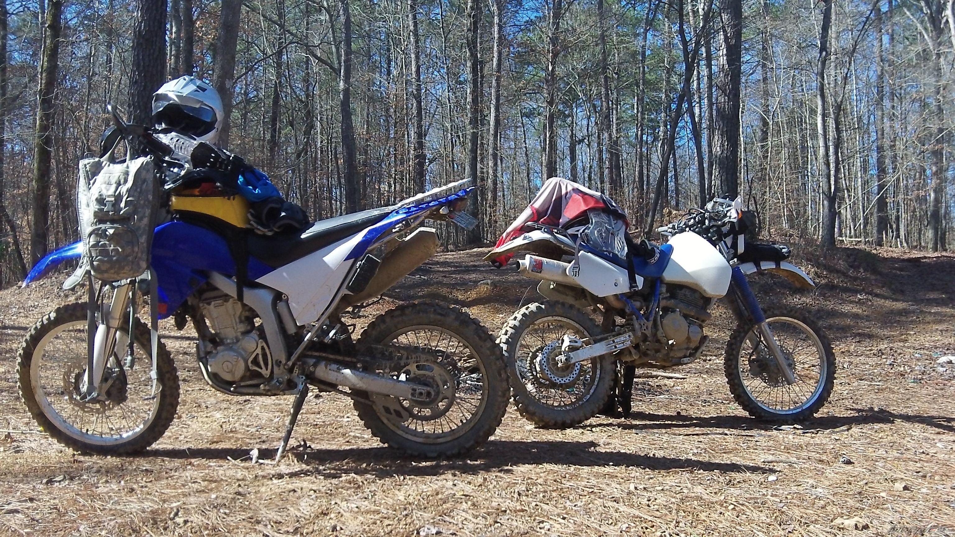 Photo 2515423