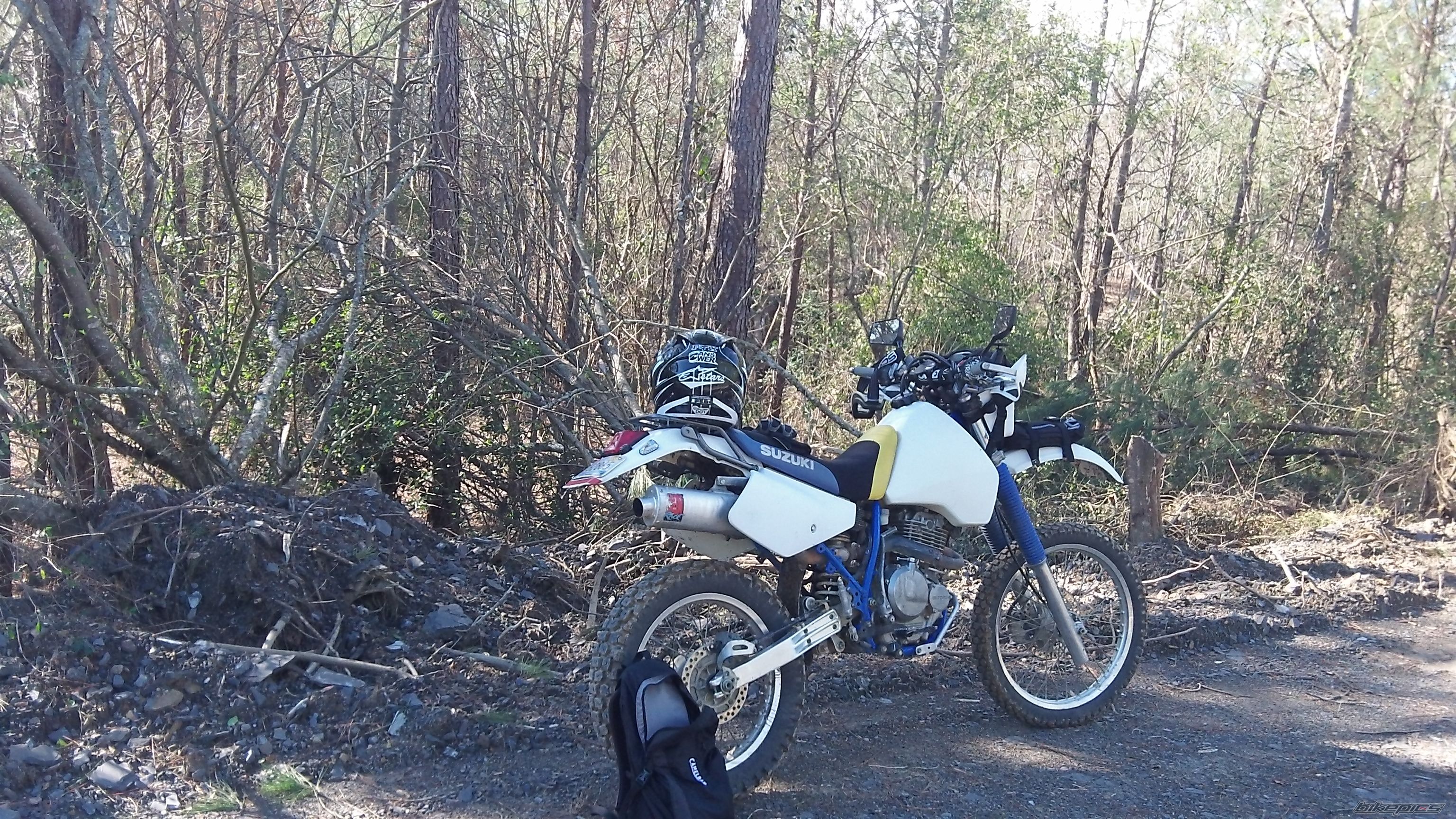 Photo 2515428