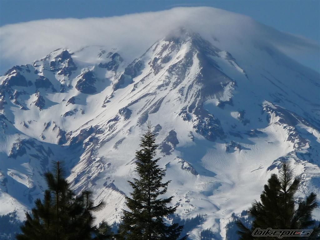 Photo 2515440