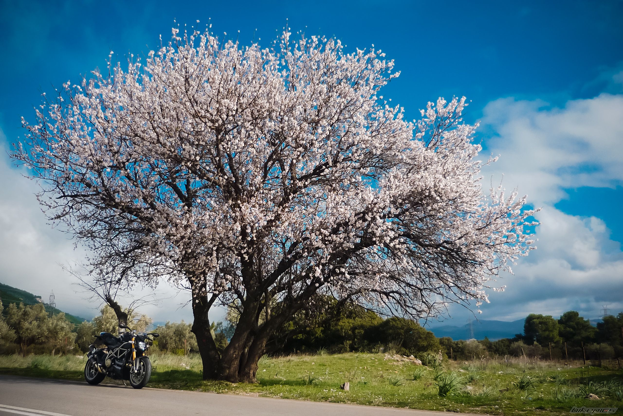 Bike Photo 2515445
