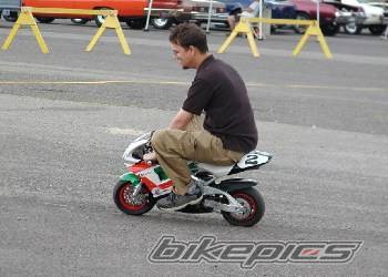 Photo 251563