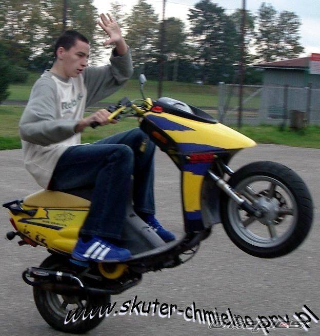Photo 251568