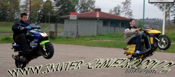 Photo 251571